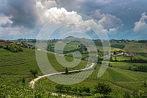 Vineyards of Langhe, Piedmont, UNESCO site