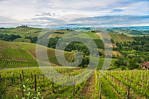 Vineyards of Langhe, Piedmont, UNESCO world heritage photo