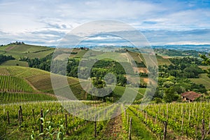 Vineyards of Langhe, Piedmont, UNESCO world heritage