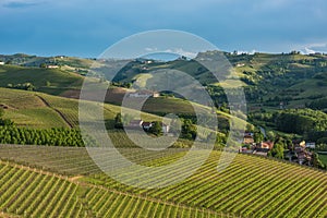 Vineyards of Langhe, Piedmont, UNESCO world heritage