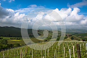 Vineyards of Langhe, Piedmont, UNESCO world heritage