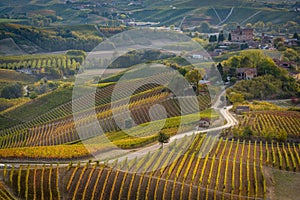 Vineyards in langhe region of northern italy in autumn with full