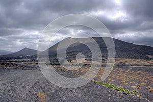 Vineyards on Lanzarote