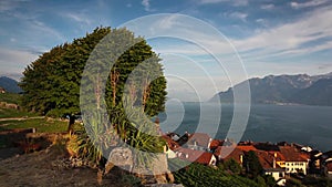 Vineyards of the Lavaux region over lake Leman