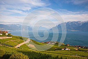 Vineyards of the Lavaux region over lake Leman,Switzerland