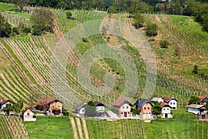 Vineyards in Lendavske Gorice in Slovenia, small houses