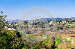 Vineyards in Loziere