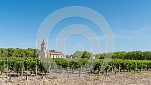 Vineyards of Margaux, in Medoc, near Bordeaux in France.