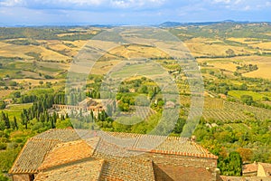 vineyards of Montepulciano village of Tuscany
