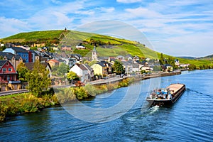 Vineyards on Moselle river in Wormeldange, Luxembourg country