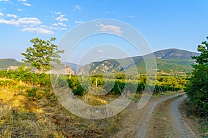 Vineyards and mountains, near Demir Kapija