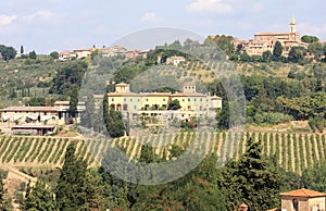 Vineyards near Barberino Val d' Elsa, Italy photo