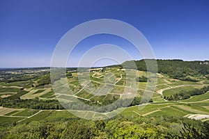 Vineyards near Chateau Chalon, Department Jura, Franche-Comte, France