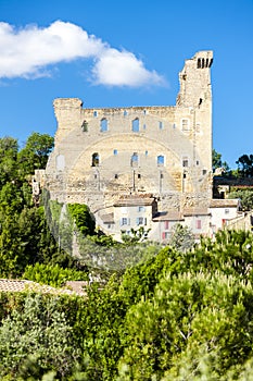 vineyards near Chateauneuf-du-Pape, France