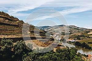 Vineyards near Duoro river in Pinhao, Portugal