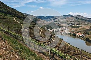 Vineyards near Duoro river in Pinhao, Portugal