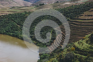 Vineyards near Duoro river in Pinhao, Portugal
