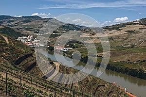 Vineyards near Duoro river in Pinhao, Portugal