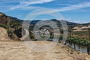 Vineyards near Duoro river in Pinhao, Portugal