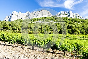 vineyards near Gigondas at Col Du Cayron, Provence, France