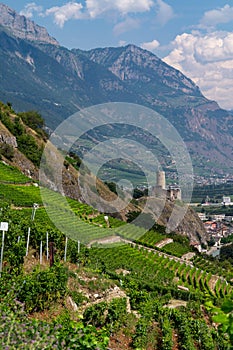 Vineyards near Martigny from a mountain road, Swiss Alps