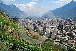 Vineyards near Martigny from a mountain road, Swiss Alps