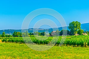 Vinedos más cercano municipio en Francia 