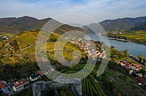 Vineyards near spitz photo