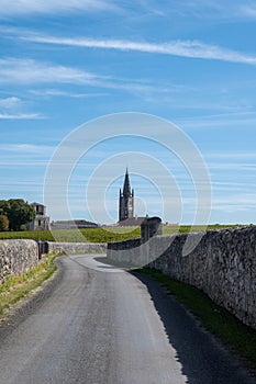 Vineyards near St. Emilion town, production of red Bordeaux wine, Merlot or Cabernet Sauvignon grapes on cru class vineyards in