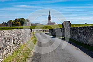 Vineyards near St. Emilion town, production of red Bordeaux wine, Merlot or Cabernet Sauvignon grapes on cru class vineyards in