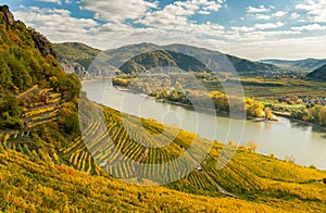 Vineyards near Weissenkirchen Wachau Austria in autumn colored l