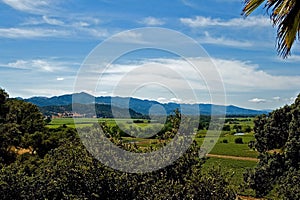 Vineyards in Northern California