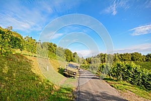 Vineyards with old car at the South Styrian Wine Road in autumn, Austria