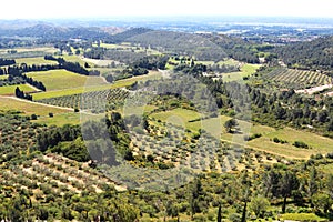 Vineyards and olive groves around french ChÃÂ¢teau des Baux photo
