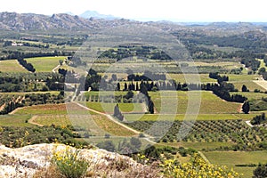Vineyards and olive groves seen from ChÃ¢teau des Baux