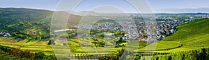 Vineyards panorama weinstadt