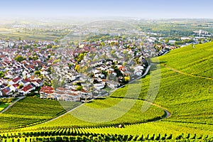 Vineyards panorama weinstadt