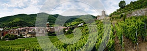 Vineyards and panoramic view of Keysersberg, winemaking village in Alsace france