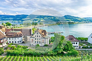 Vineyards Rapperswil-Jona, Switzerland