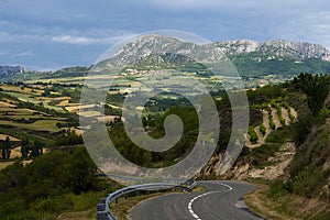 Vineyards of Rioja