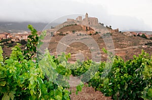 Vineyards. Rioja, Spain. San Vicente de la Sonsierra. photo