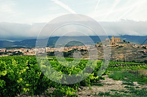 Vineyards. Rioja, Spain. San Vicente de la Sonsierra. photo