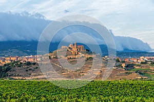 Vineyards. Rioja, Spain. San Vicente de la Sonsierra.