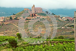 Vineyards. Rioja, Spain. San Vicente de la Sonsierra. Sonsierra photo