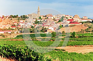 La Rioja. Spain. Vineyards and beautiful views of the ancient city Briones