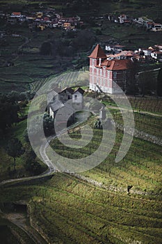 Vineyards by the river in the Douro Valley, northern Portugal.