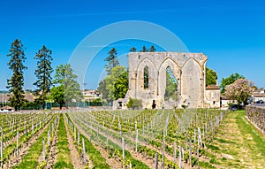 Vineyards and ruins of an ancient convent in Saint Emilion, France
