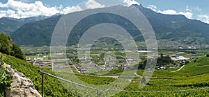 The vineyards of saillon switzerland