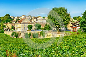Vineyards in Saint-Emilion