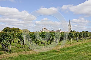 Vineyards at Saint-Emilion (France)